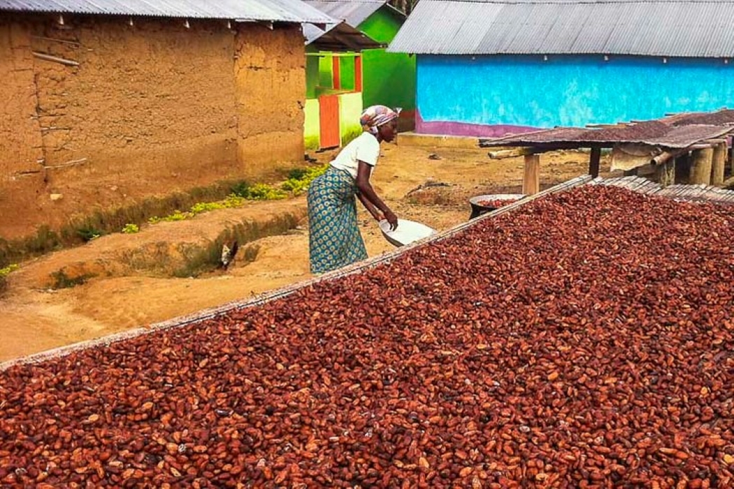 Agriculture and Agro-Processing