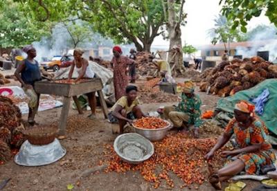 Investment opportunities - agriculture processing